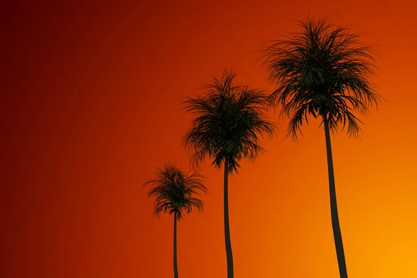 Arka Plan Kızıl Gökyüzünün Palmiye Ağaçlarının Silhouettes Render Illüstrasyon Yüksek — Stok fotoğraf