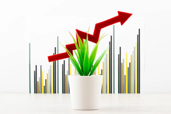 Green flower with red ascending arrow In front of desk with business charts and graphs. Business planning,accounting,analysis,financial planning and data Analysis concept