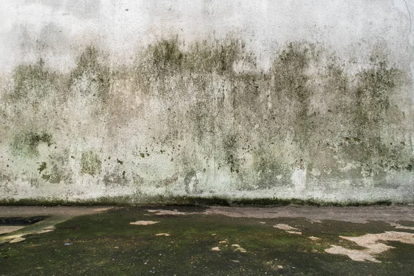 Beton duvarlı ve zeminli boş oda