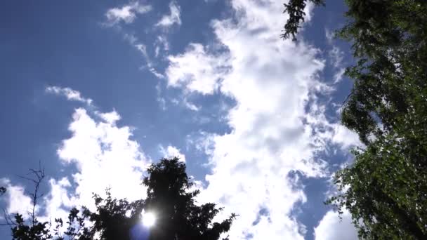 Nuvens Verão Árvores — Vídeo de Stock