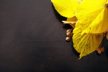 Abanoz bir arka plan üzerinde sonbahar yaprakları