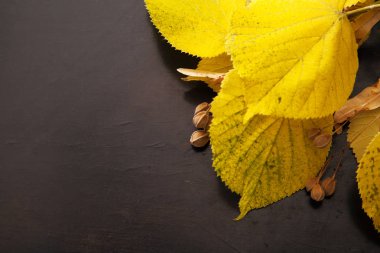 Abanoz bir arka plan üzerinde sonbahar yaprakları