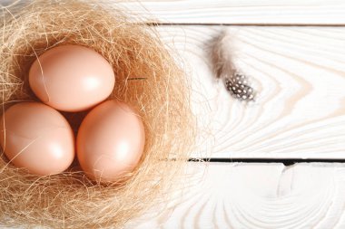 Paskalya arka plan. Bej renkli Paskalya yumurtaları ve tüy yuvaya rustik beyaz ahşap zemin üzerinde. Üstten görünüm, kopya alanı