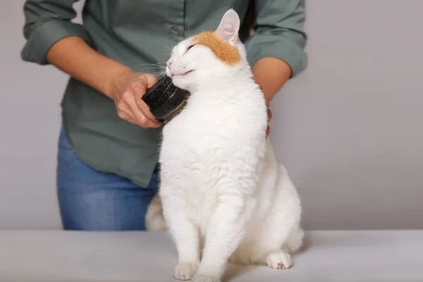 Sevimli beyaz-kırmızı mutlu kedi ve bir tarak hayvan tüylerini tam yalan. Evde beslenen hayvan kedi araması. Evde beslenen hayvan kaygı kavramı.