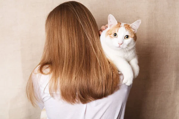Bir kadının omuz nazik beyaz kedi. Omuz bir sarışın bej renkli arka plan üzerinde beyaz kedi.