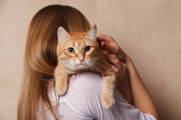 Happy Ginger Tabby Cat Woman Shoulder Beautiful Striped Red Cat — Stock Photo, Image