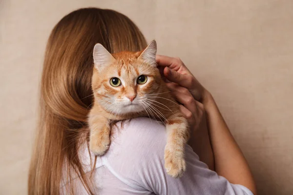 Mutlu zencefil tekir kedi kadının omuz. Omuz sarışın, bej renkli arka plan üzerinde güzel çizgili kırmızı kedi.