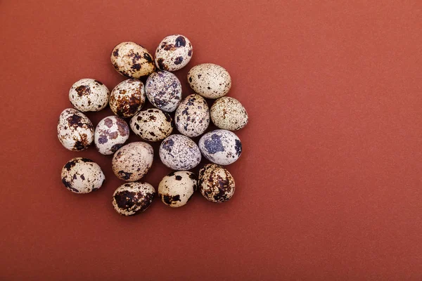 Quail eggs on a brown solid background, top view, copy space. Healthy food, Holidays, nature concept. Easter Background.