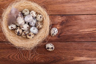 Paskalya yumurta kuş yuva rustik ahşap zemin üzerinde. Paskalya yumurtaları ile ve tüyler yuvaya kahverengi masada bıldırcın, alanı Kopyala. Bahar, Paskalya ve sağlıklı organik gıda kavramı