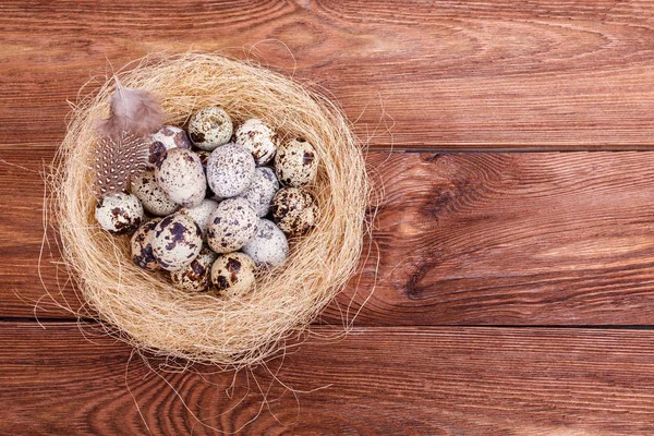 Paskalya yumurta kuş yuva rustik ahşap zemin üzerinde. Paskalya yumurtaları ile ve tüyler yuvaya kahverengi masada bıldırcın, alanı Kopyala. Bahar, Paskalya ve sağlıklı organik gıda kavramı