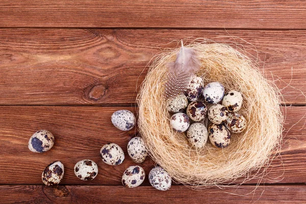素朴な木製の背景の鳥の巣でイースターの卵 イースターの卵と巣茶色のテーブルの上に羽のウズラ 領域をコピーします イースターや健康的な有機食品のコンセプト — ストック写真