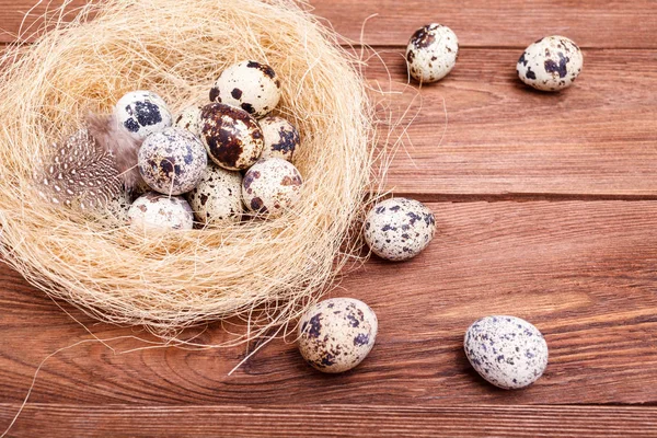 Œufs Pâques Oiseau Nid Sur Fond Bois Rustique Oeufs Pâques — Photo