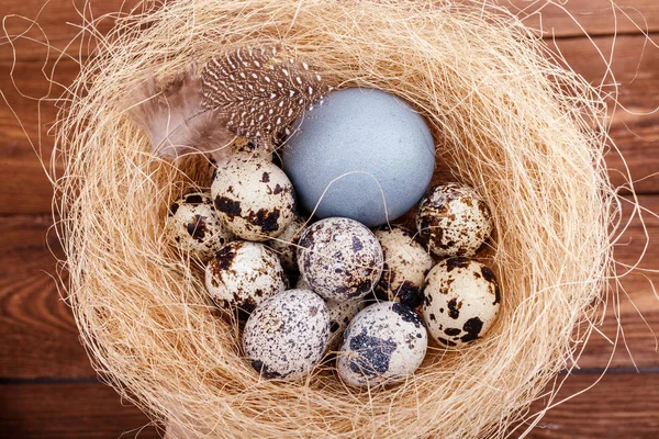 Nid Brindilles Paille Avec Des Œufs Poulet Couleur Pâques Des — Photo