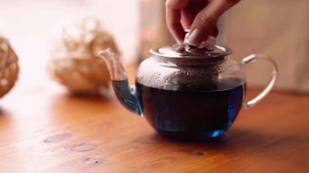 Женщина Открывает Закрывает Крышку Чайника Горячим Цветочным Голубым Тайским Чаем — стоковое видео