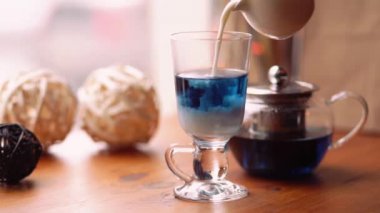 Süt, mavi kelebek bezelye bardağa çay kafede masaya çiçek Clitoria üzerinden dökme. Mavi Tay çay ve süt karıştırma, ağır çekim