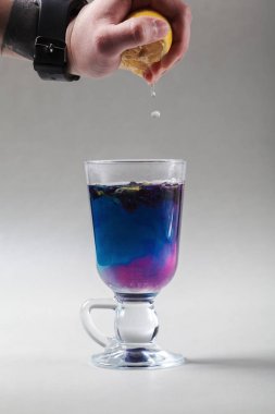 Tay kelebek bezelye çay İrlandalı bir cam mavi. Gri arka plan. El limon dilimi sıkma. Çay Anchan, Clitoria mavi