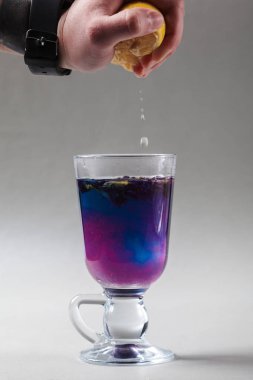 Tay kelebek bezelye çay İrlandalı bir cam mavi. Gri arka plan. El limon dilimi sıkma. Çay Anchan, Clitoria mavi