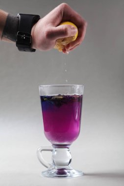 Tay kelebek bezelye çay İrlandalı bir cam mavi. Gri arka plan. El limon dilimi sıkma. Çay Anchan, Clitoria mavi