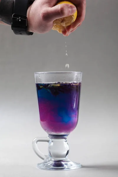 Tay kelebek bezelye çay İrlandalı bir cam mavi. Gri arka plan. El limon dilimi sıkma. Çay Anchan, Clitoria mavi