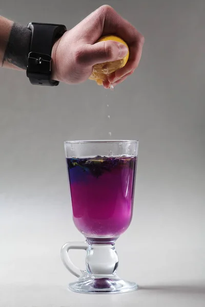 Tay kelebek bezelye çay İrlandalı bir cam mavi. Gri arka plan. El limon dilimi sıkma. Çay Anchan, Clitoria mavi