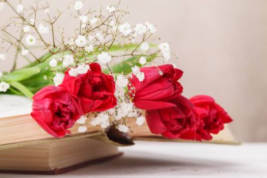 Vintage natürmort bahar kırmızı lale ve bej renkli bir arka plan üzerine bir kitap. Anneler günü, kadın gün kavramı