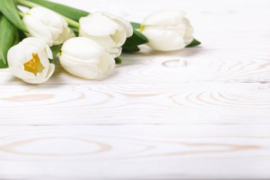 Beyaz ahşap zemin üzerinde Beyaz Lale ile güzel kompozisyon. Bahar natürmort, yumuşak odak, metin için yer
