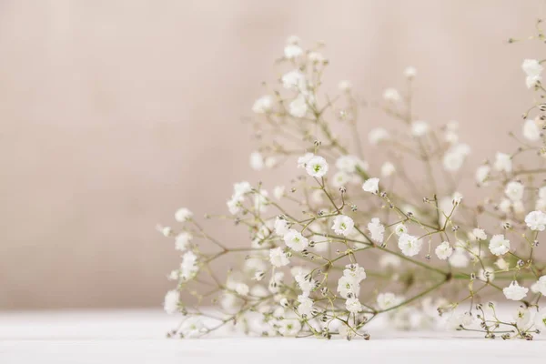 Küçük beyaz çiçekler gypsophila soluk pastel bej renkli arka plan, ahşap masa üzerinde. En az yaşam tarzı kavramı. Kopya alanı
