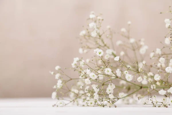 淡いパステル ベージュの背景に木製のテーブルの上の小さな白い花カスミソウ。最低限の生活のコンセプトです。コピー スペース ストック写真