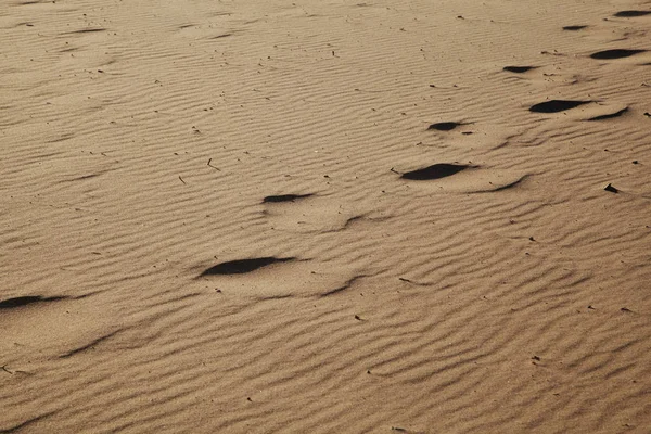 Hintergrund Textur von welligem Sand. Jährliches Wachstum der Sandfläche. Sanddünen mit Fußstapfen für Urlaubskonzept — Stockfoto