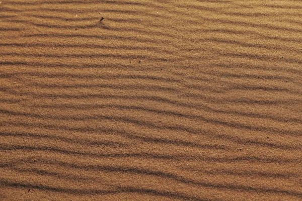 Textuur zandige oppervlak met de rimpelingen gevormd door wind zand. Zandduinen textuur achtergrond. Houtsnippers geplakt van het zand — Stockfoto