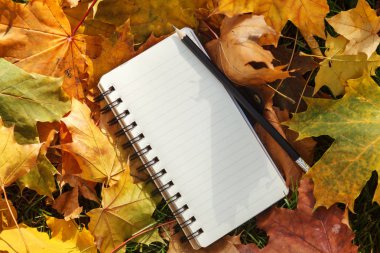 Siyah bahar ve kalem ile beyaz sayfaları ile bir defter sarı sonbahar akçaağaç yaprakları renkli bir arka plan üzerinde yatıyor