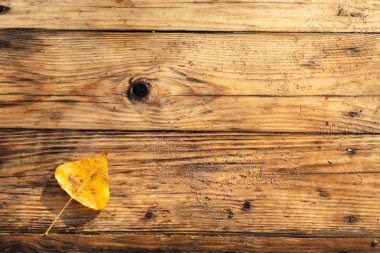 Ahşap arka plan. Kumda kaykaylar. Kumda yıpranmış ahşap kaldırım. Doğal malzemeler. Ahşap yüzey dokusu