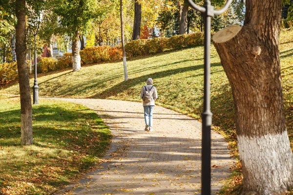 Genç bir kadın güneşli bir günde bir sonbahar Parkı yaprakları ile serpiştirilmiş bir yolda yalnız bırakır