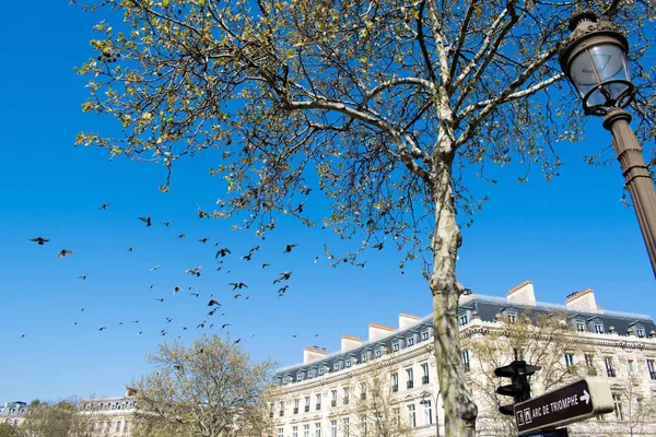 Знак Тріумфального Арки Зірки Видом Традиційний Будинок Парижа — стокове фото