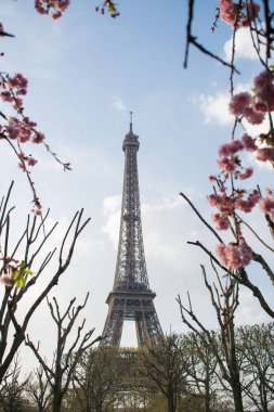 Paris, Fransa - 1 Nisan 2019: İlkbahar da pembe çiçeklerle Eyfel Kulesi