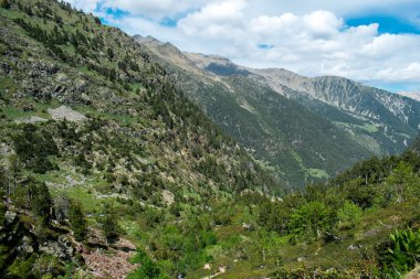 Parc Natural del Comapedrosa, Andorra yaz aylarında güzel manzara dağlar