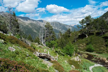 Parc Natural del Comapedrosa, Andorra yaz aylarında güzel manzara dağlar