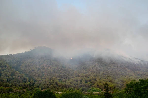 Горящие Горы Пожар Лесу Капелладесе Каталония Испания — стоковое фото