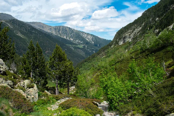 Parc Natural del Comapedrosa, Andorra yaz aylarında güzel manzara dağlar