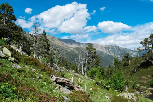 Beautiful Landscape Mountains Summer Parc Natural Del Comapedrosa Andorra — Stock Photo, Image