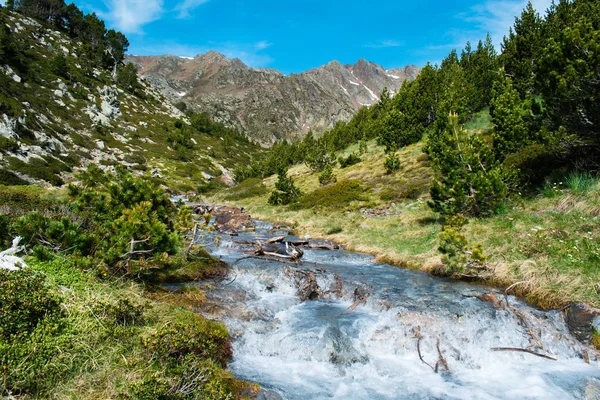 Pireneler dağ nehir manzara, yaz Andorra vadiaşağı akan dağ nehri güçlü dere