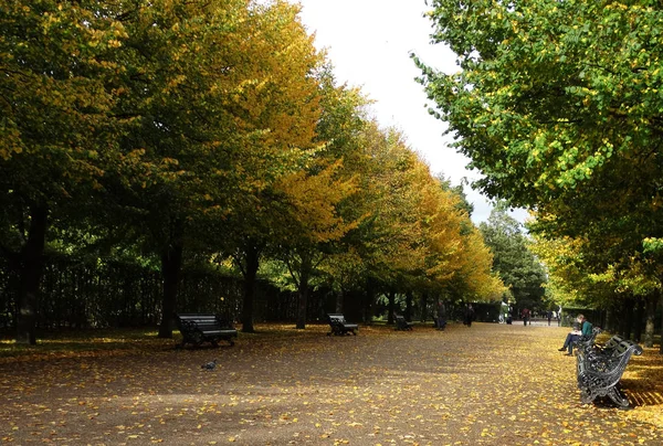 Golden Autumn Regent Park London Regents Park Fall Season — Stock Photo, Image