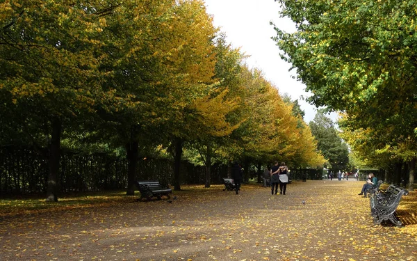 リージェントパーク ロンドン 秋のリージェンツパークの黄金の秋 — ストック写真