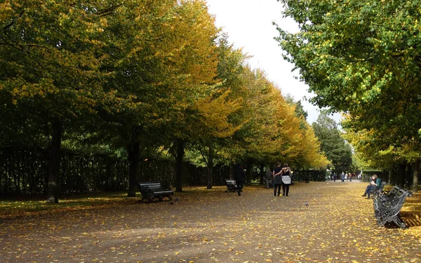 Regent Park Altın Sonbahar Londra Sonbahar Sezonunda Regents Park — Stok fotoğraf