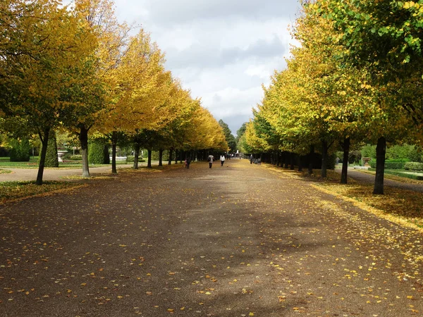 Golden autumn in Regent park, London, Regents park in fall season