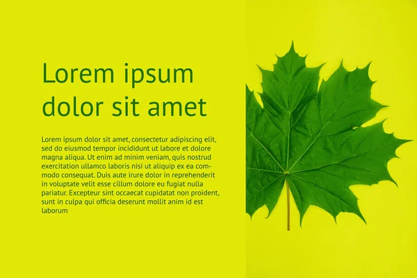 Leaf Eco Text Med Gröna Blad Gul Bakgrund Energi Vänlig — Stockfoto