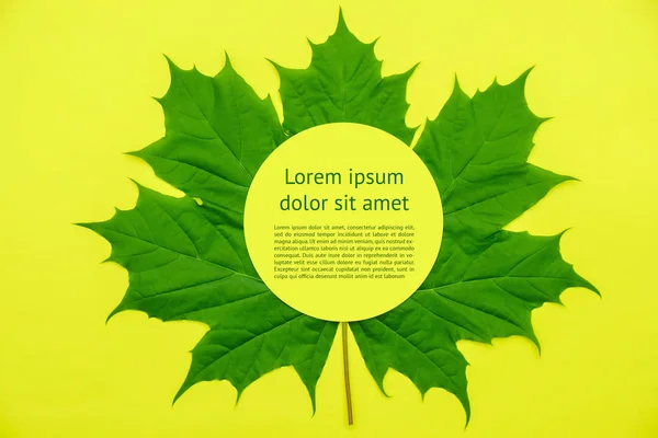 Leaf Eco Text Green Leaf Yellow Background Energy Friendly Ecoology — Stock Photo, Image