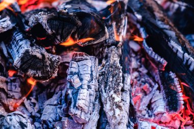 Parlak sıcak kömürleri ve Barbekü ızgara çukur yanan ormanda. Parlayan ve yanan kömür, Barbekü, kırmızı ateş ve kül. Hafta sonu eğlence arka plan. Yakın çekim, üstten görünüm.