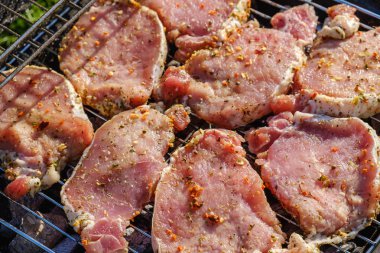 Çimenlerin üzerinde yerleştirilen ızgara üstten görünüm taze çiğ et ve sebze. Barbekü, ızgara ve gıda kavramı