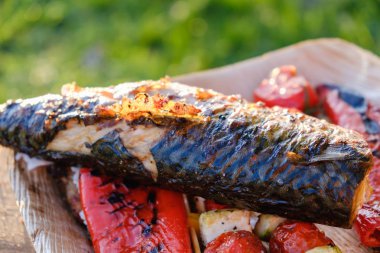 Kabak domates kavrulmuş Barbekü ızgara sebze şiş ve balık uskumru götürüyor bir ot Marine tabakta, üstten görünüm soğan, biber